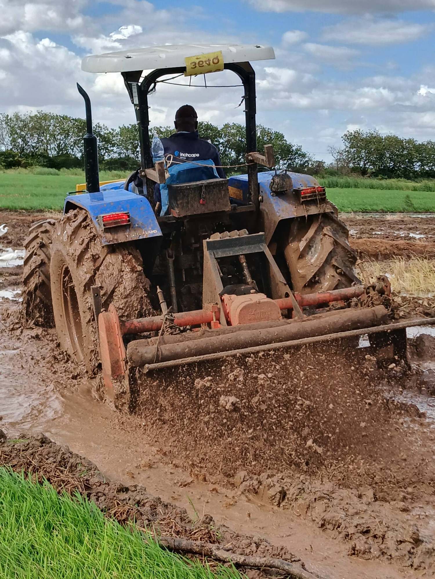 A tractor and implement working through mud in a rice field, egrets nearby.