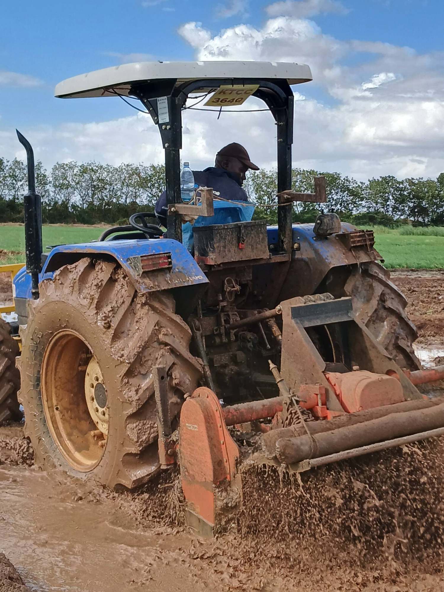 A tractor churning through a flooded rice paddy during land preparation.
